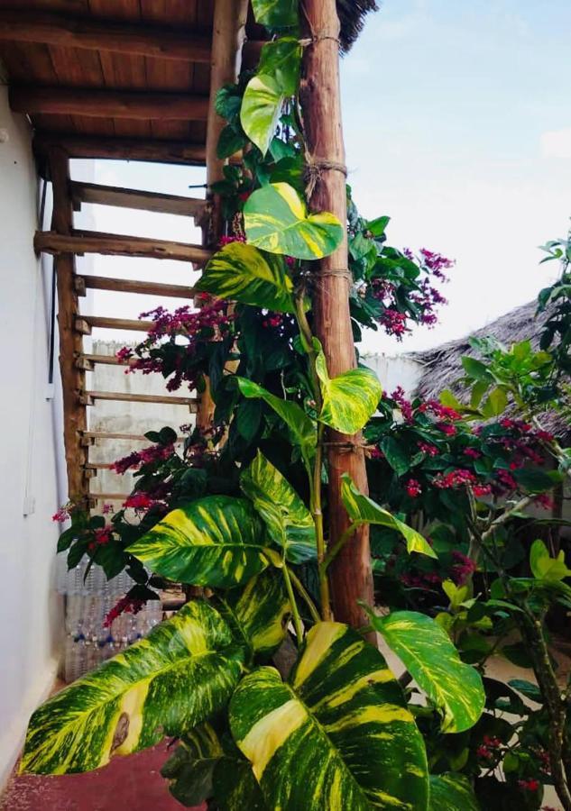 Kilimani House Bed & Breakfast Nungwi Luaran gambar
