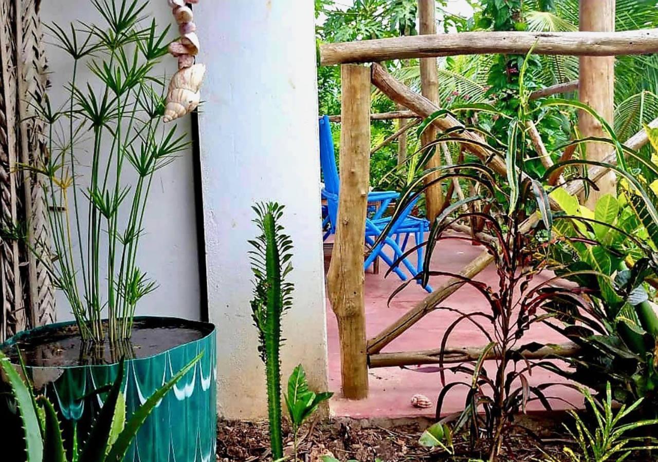 Kilimani House Bed & Breakfast Nungwi Luaran gambar