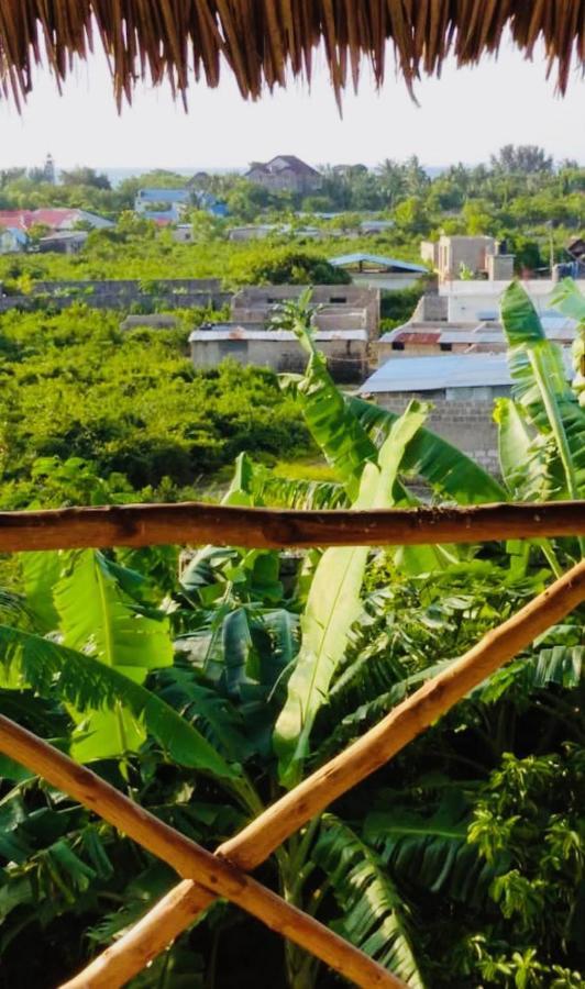 Kilimani House Bed & Breakfast Nungwi Luaran gambar